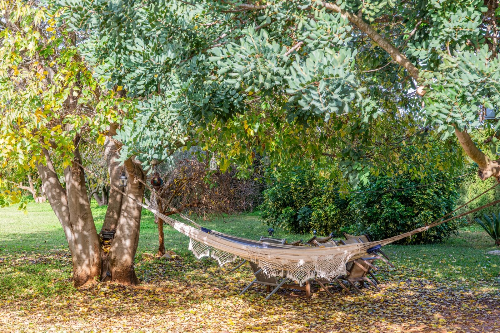 A private retreat surrounded by greenery, all on one level and with complete privacy.