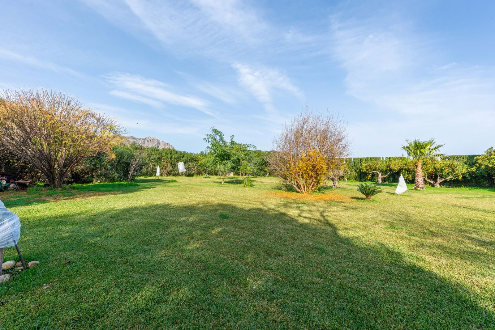 A private retreat surrounded by greenery, all on one level and with complete privacy.